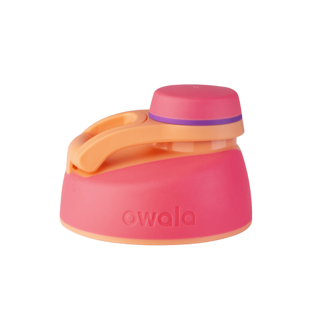 Replacement Lids NSWS