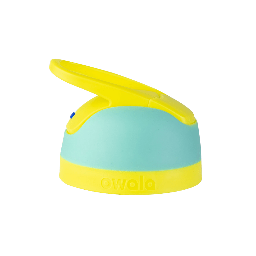 Replacement Lids NSWS