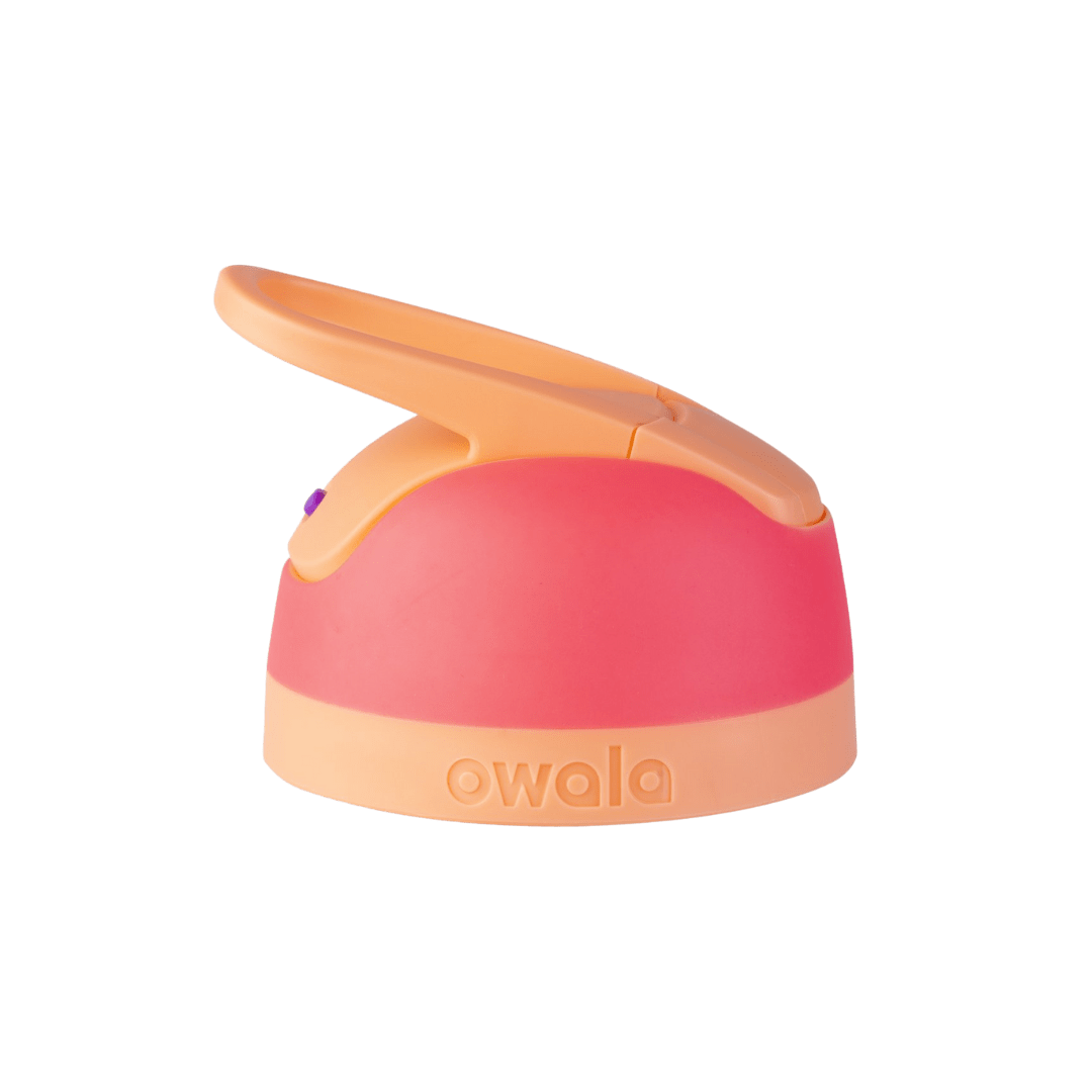 Replacement Lids NSWS