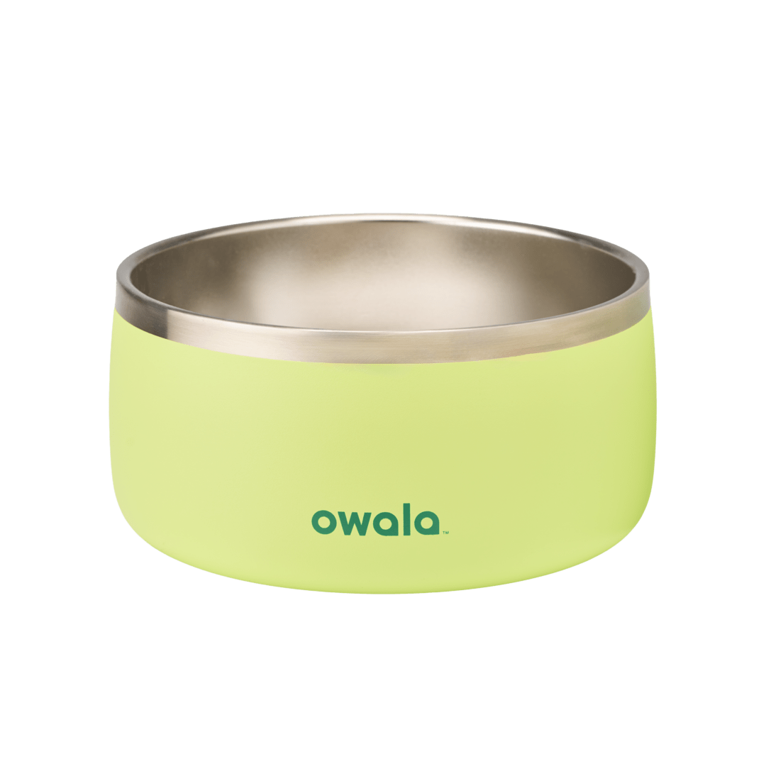 Pet Bowl QDXS