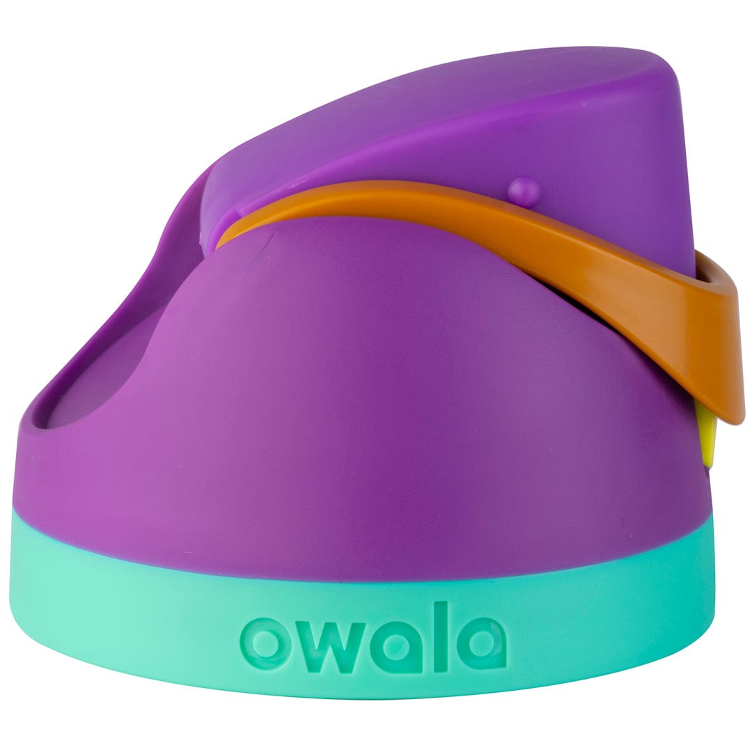Replacement Lids NSWS