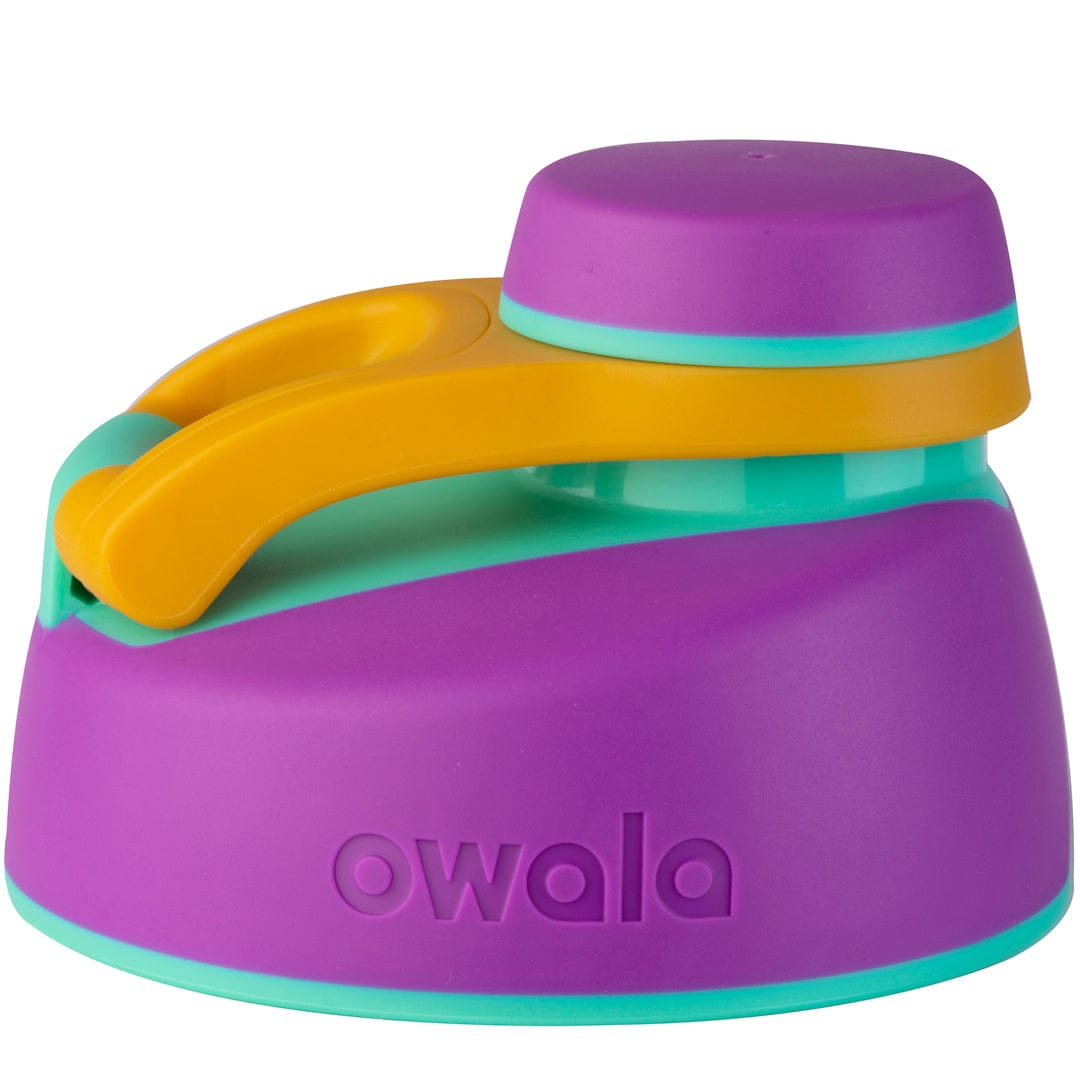 Replacement Lids NSWS