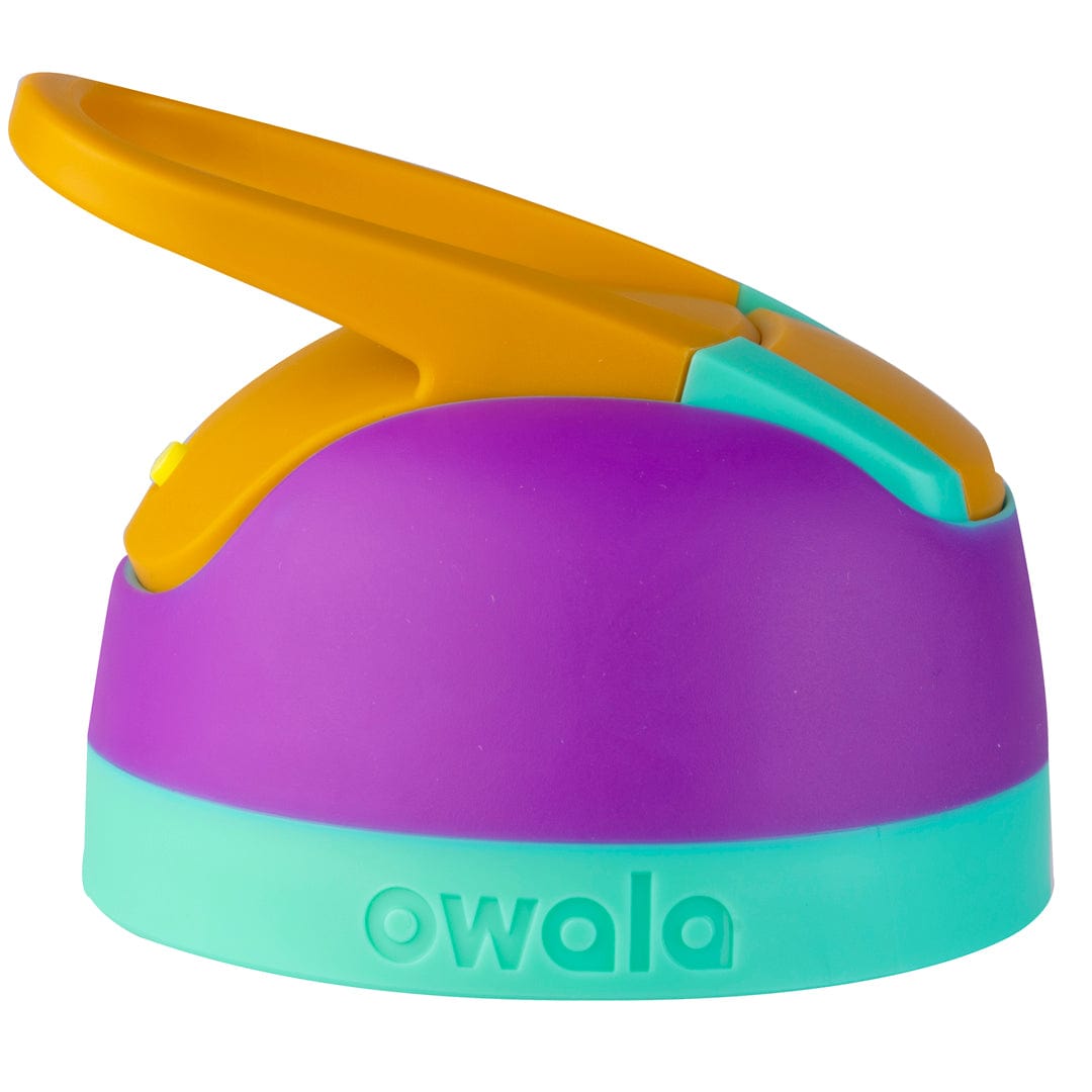 Replacement Lids NSWS