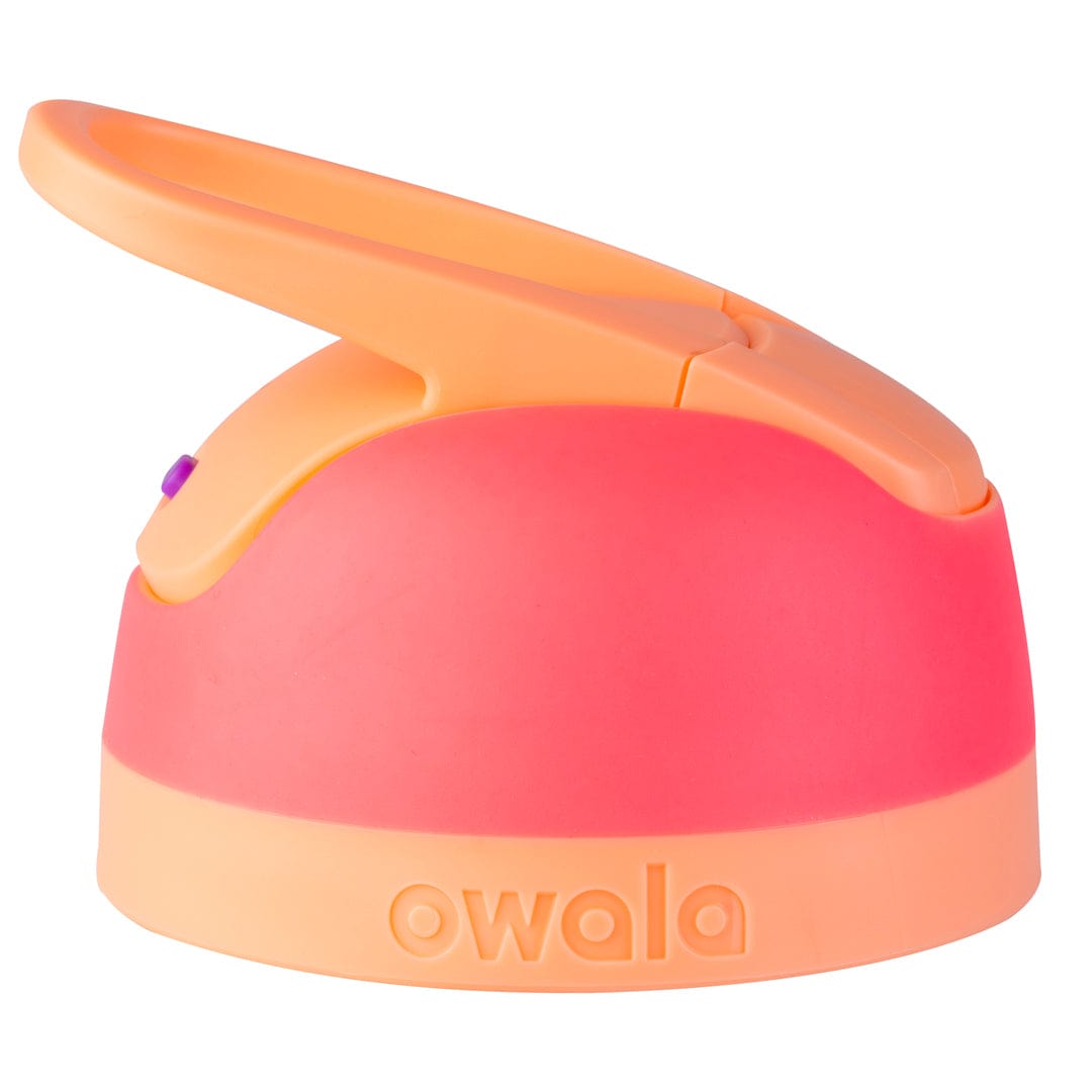 Replacement Lids NSWS
