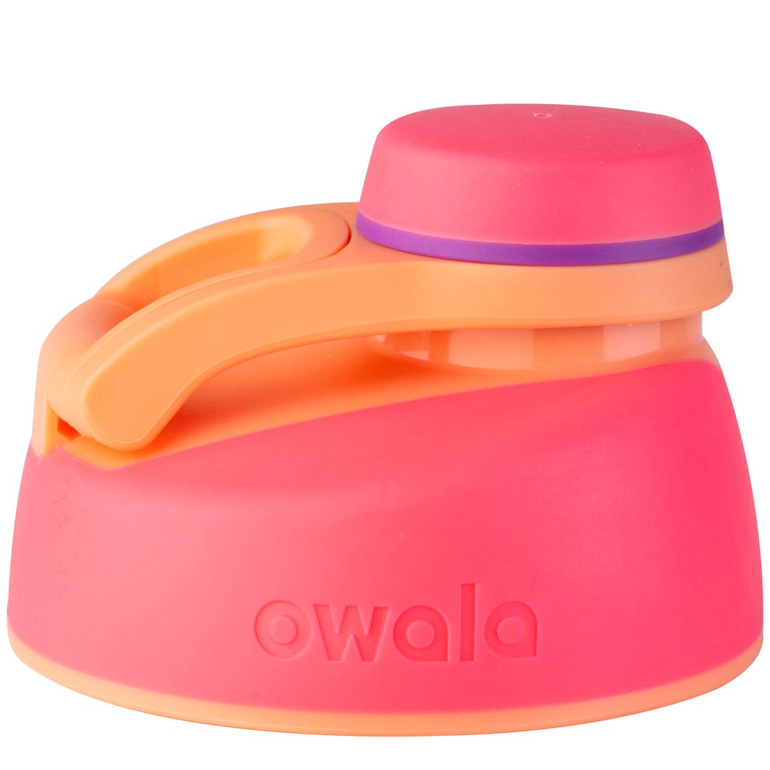 Replacement Lids NSWS
