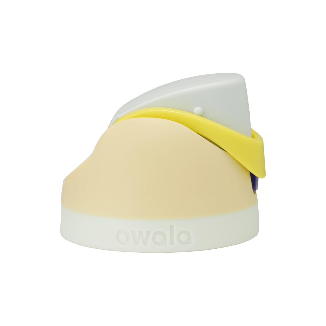 Replacement Lids NSWS