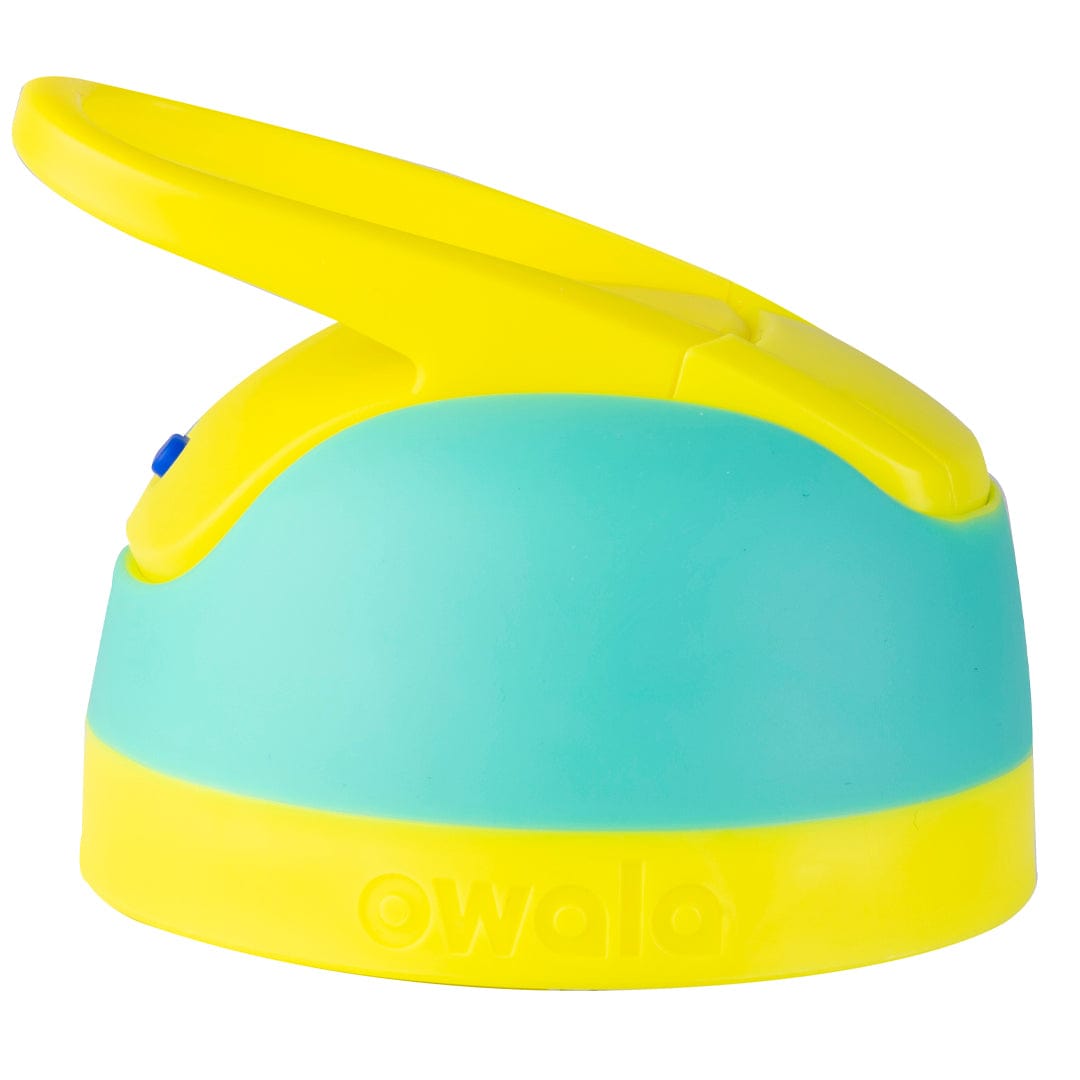 Replacement Lids NSWS