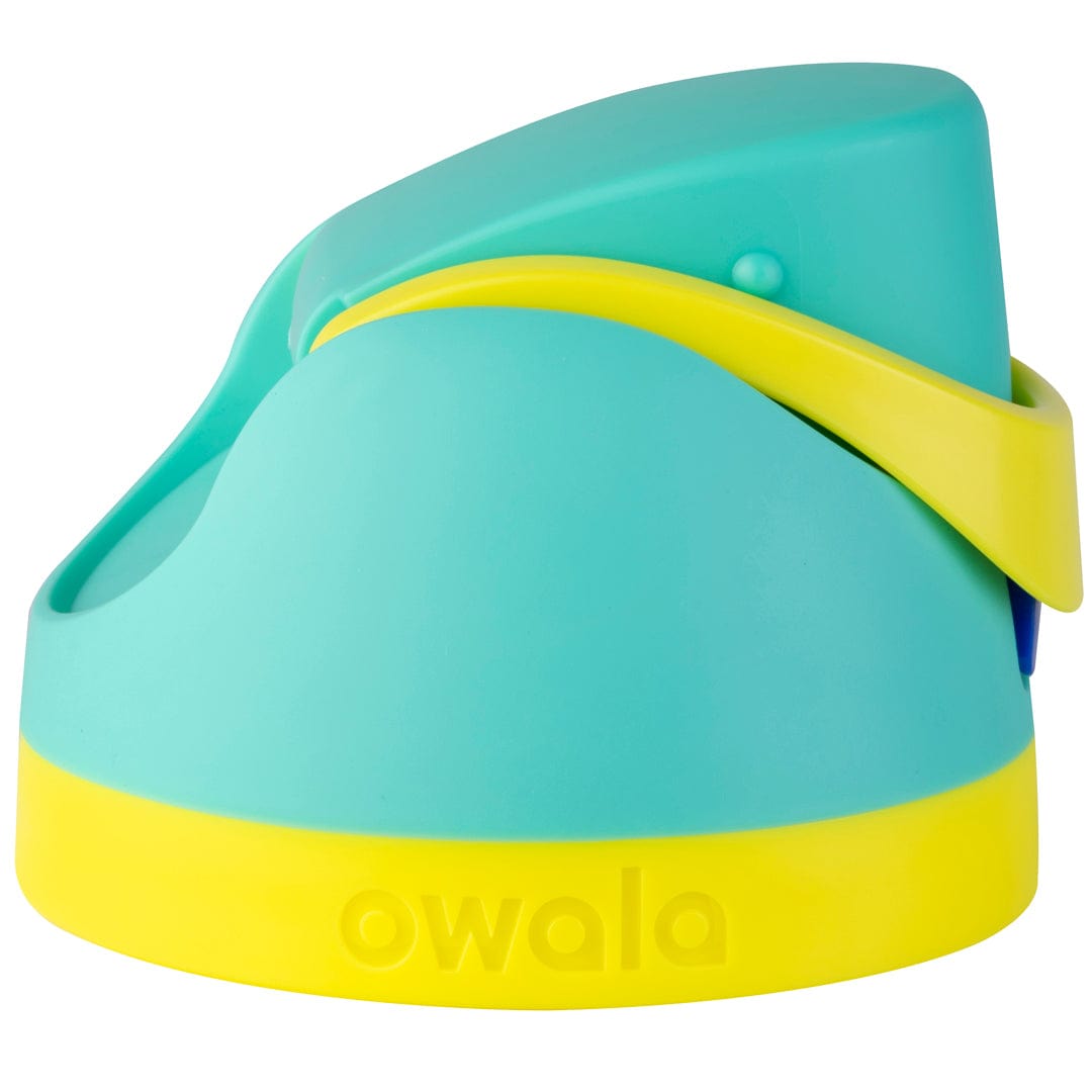 Replacement Lids NSWS