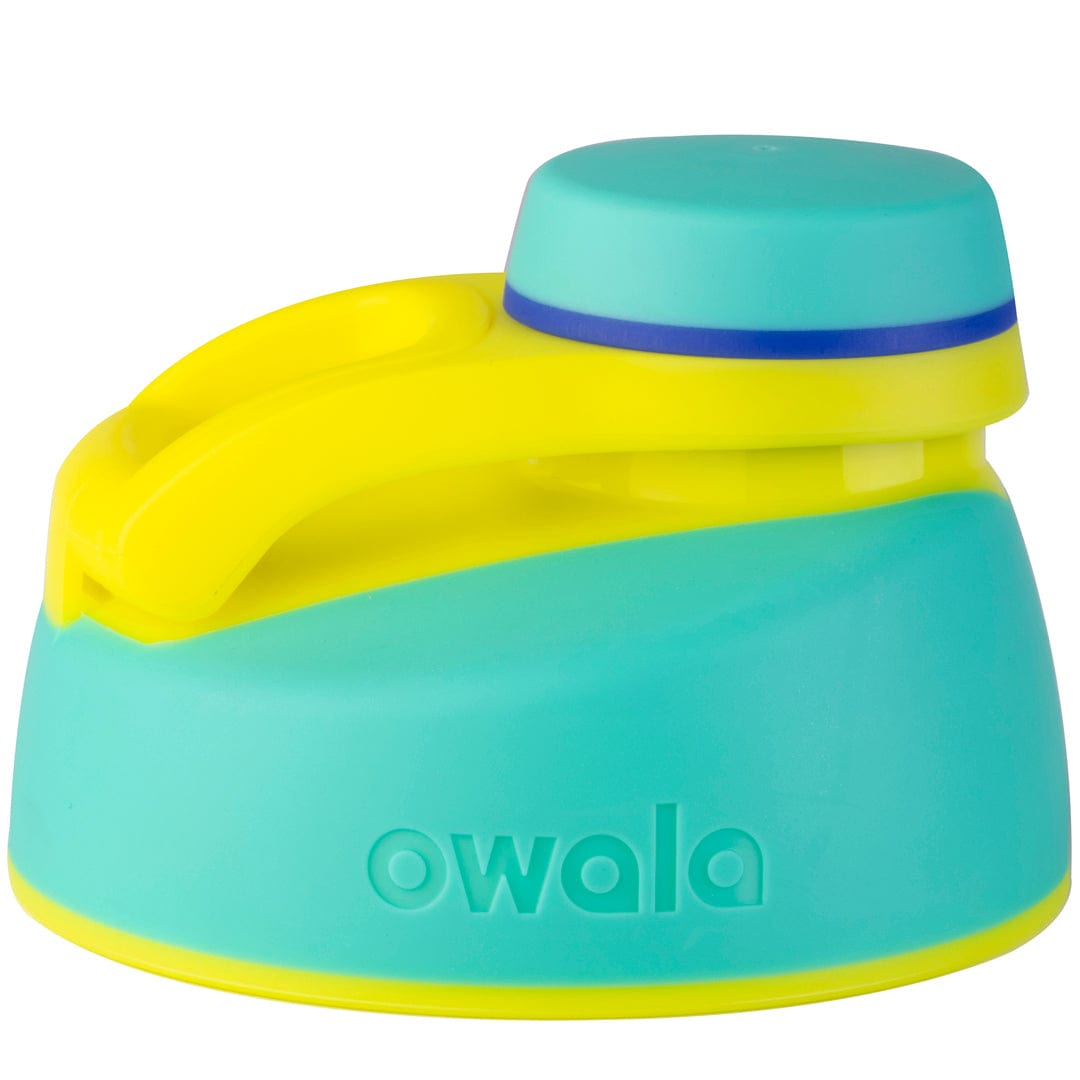 Replacement Lids NSWS