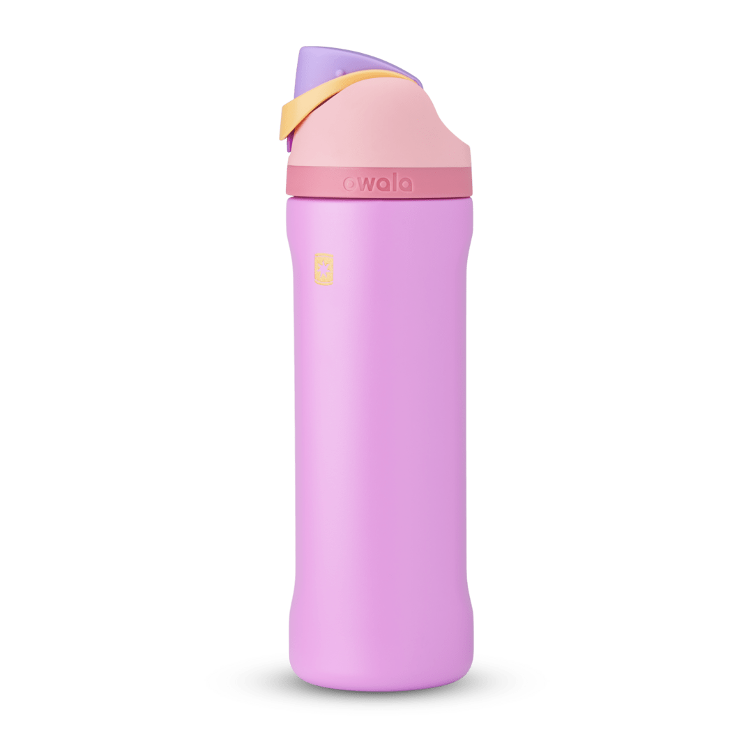 Disney Princess Collection ZQEC