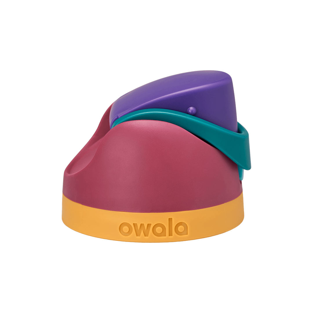 Replacement Lids NSWS