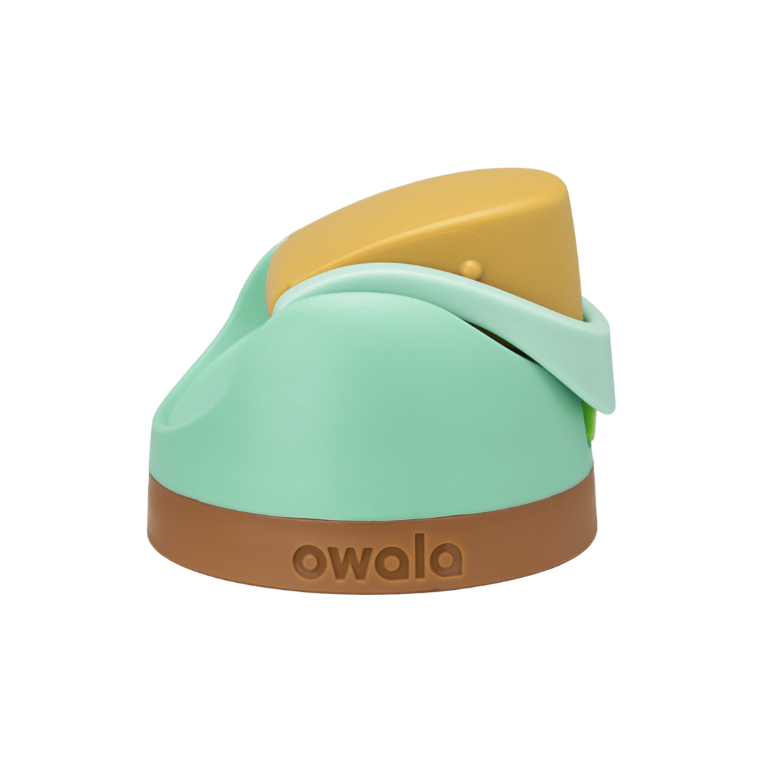 Replacement Lids NSWS