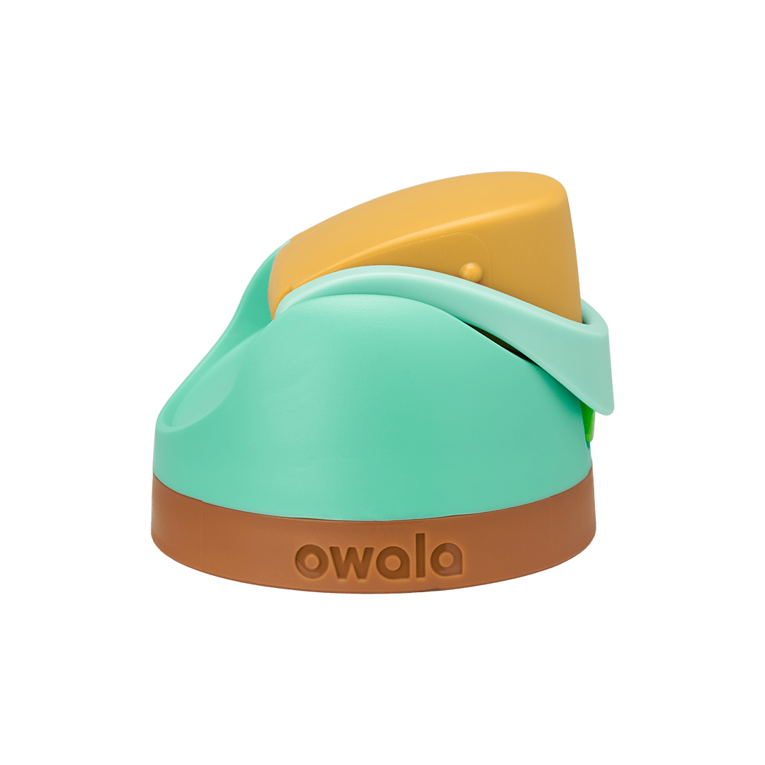 Replacement Lids NSWS