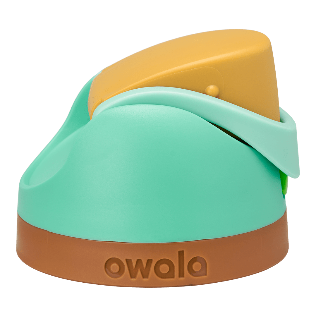 Replacement Lids NSWS