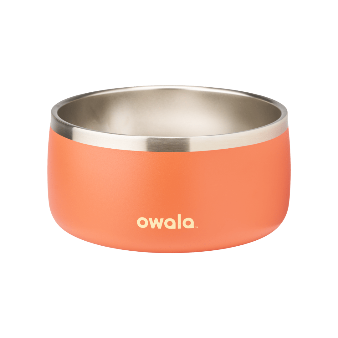 Pet Bowl QDXS