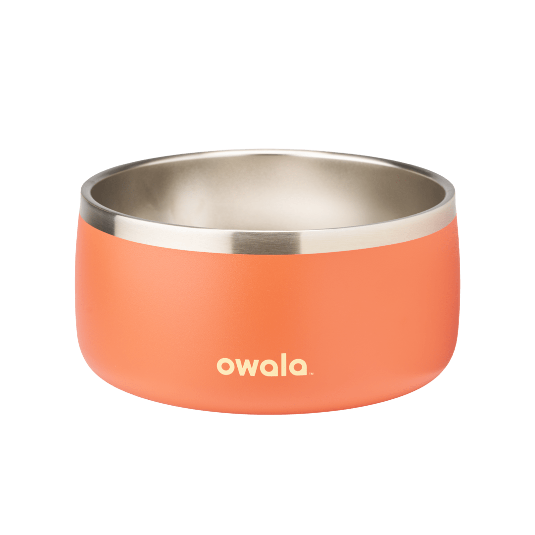 Pet Bowl QDXS