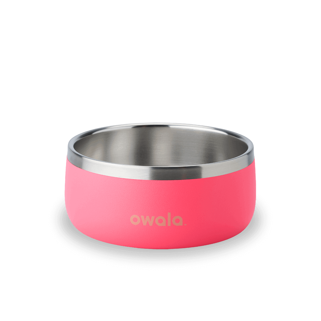 Pet Bowl QDXS