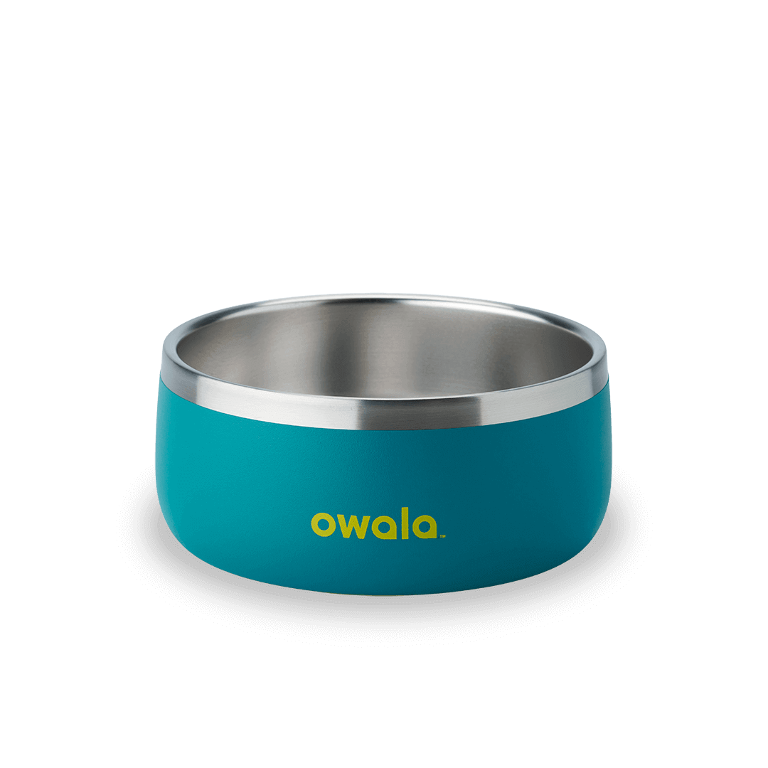 Pet Bowl QDXS