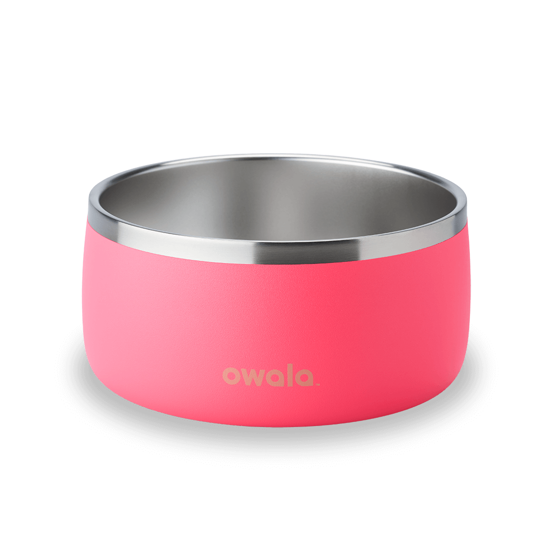 Pet Bowl QDXS