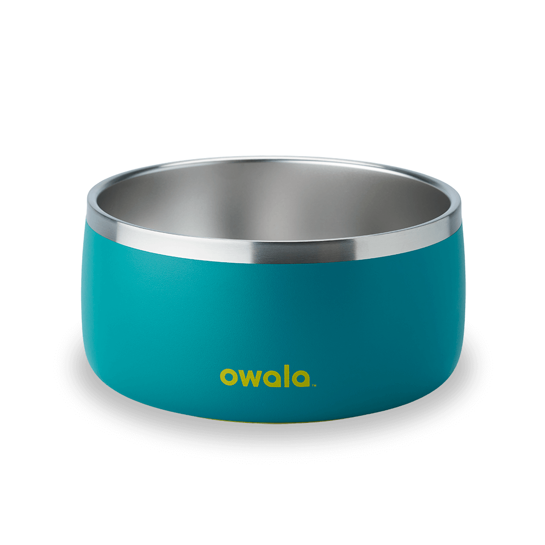 Pet Bowl QDXS