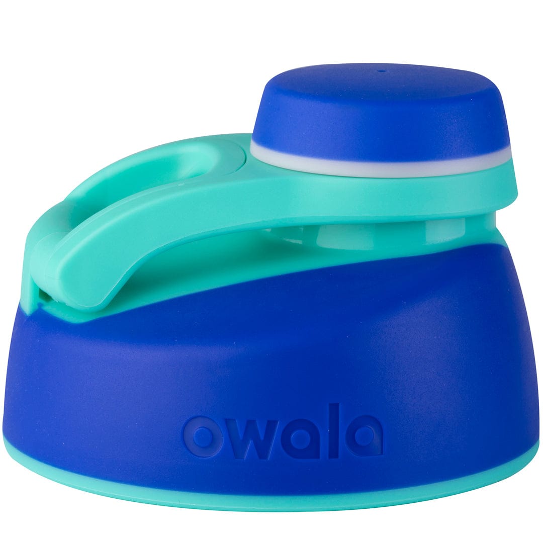 Replacement Lids NSWS