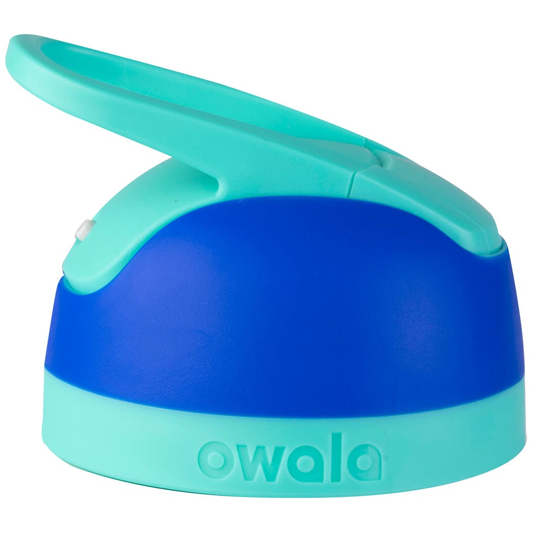 Replacement Lids NSWS