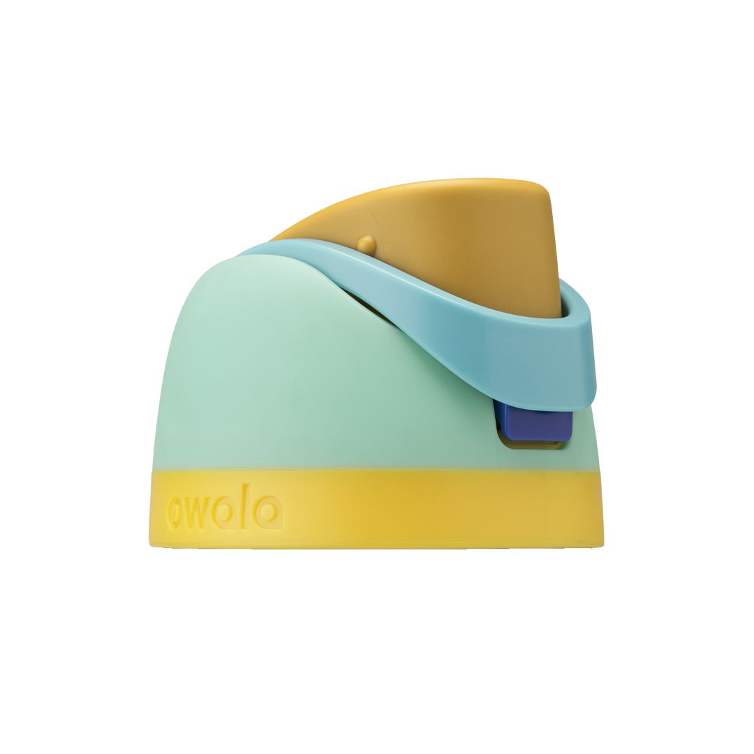 Replacement Lids NSWS