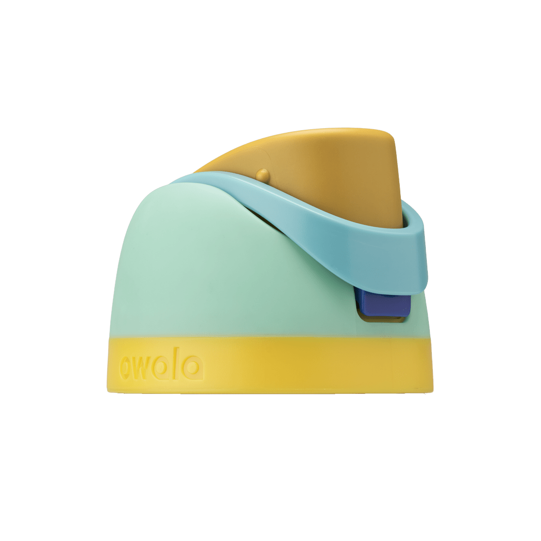 Replacement Lids NSWS